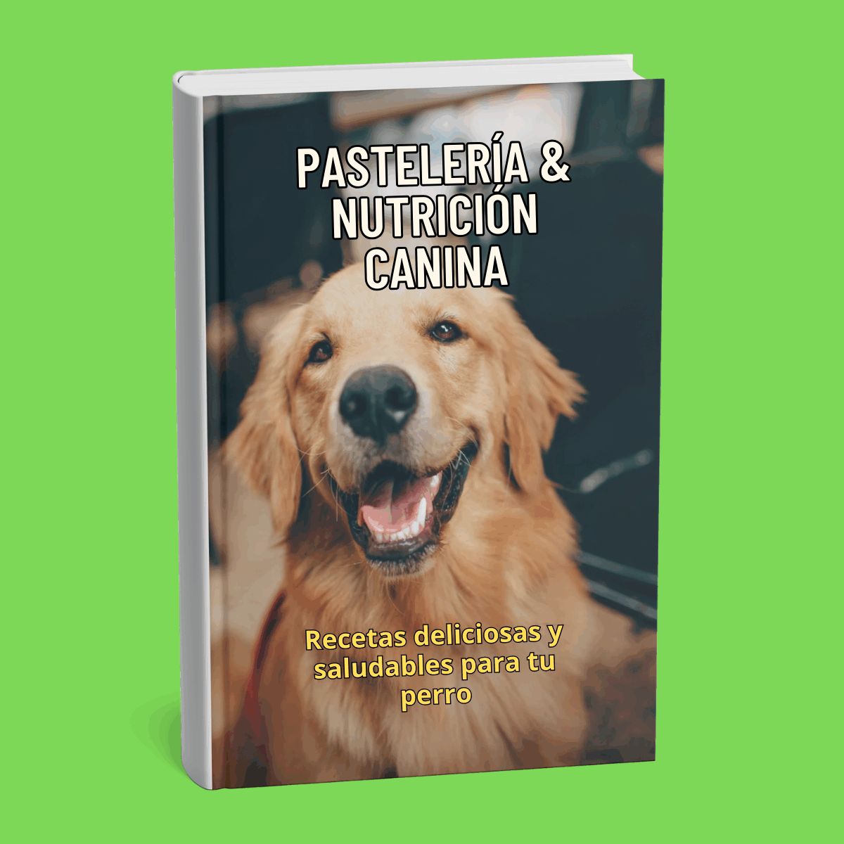 Recetas Nutrición Canina
